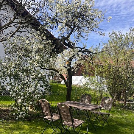 Zimmer Zum Wohlfuehlen Eching  Ngoại thất bức ảnh